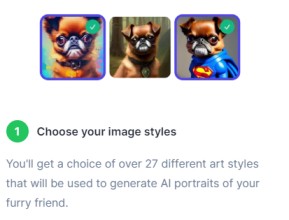Chooise your image style