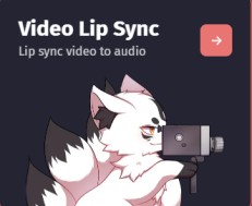 video Lip sync