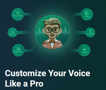 Customize your Voice