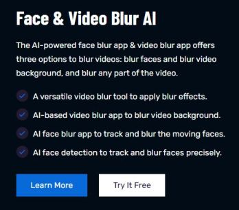 face and video blur